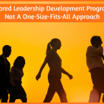 Tailored Leadership Development Programs - not a one size fits all approach by newtohr.com