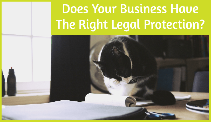 Does Your Business Have The Right Legal Protection by newtohr.com