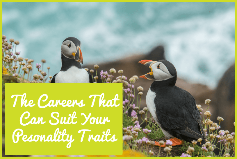The Careers That Can Suit Your Personality Traits By #newtohr