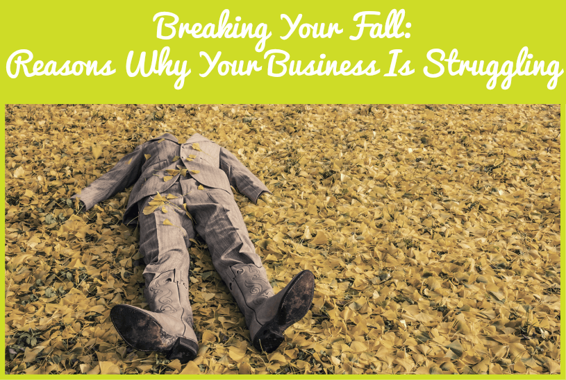 Breaking Your Fall - Reasons Why Business Is Struggling by newtohr.com