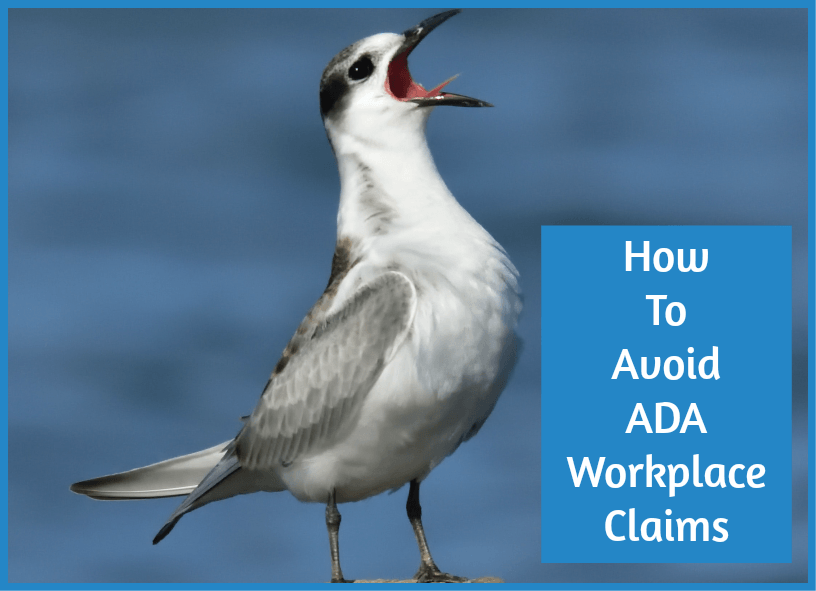 How To Avoid ADA Workplace Claims by #NewToHR