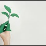 Tips To Make Your Business More Sustainable by newtohr.com