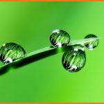 Benefits Of Irrigation Systems For Businesses by newtohr.com