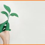 Strategies To Give Your Business An Eco Boost by newtohr