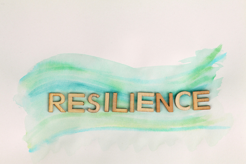 Building A Culture of Resilience By New To HR